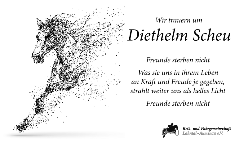  Traueranzeige für Diethelm Scheu vom 15.08.2017 aus Wetzlarer Neue Zeitung