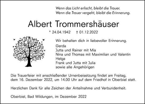 Traueranzeige von Albert Trommershäuser von Wetzlarer Neue Zeitung